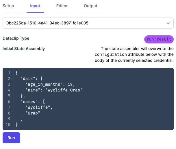 lightning_input_data